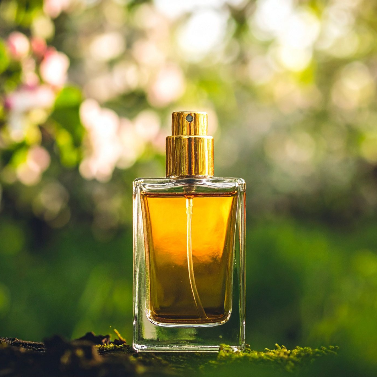 軽井沢　プレゼント