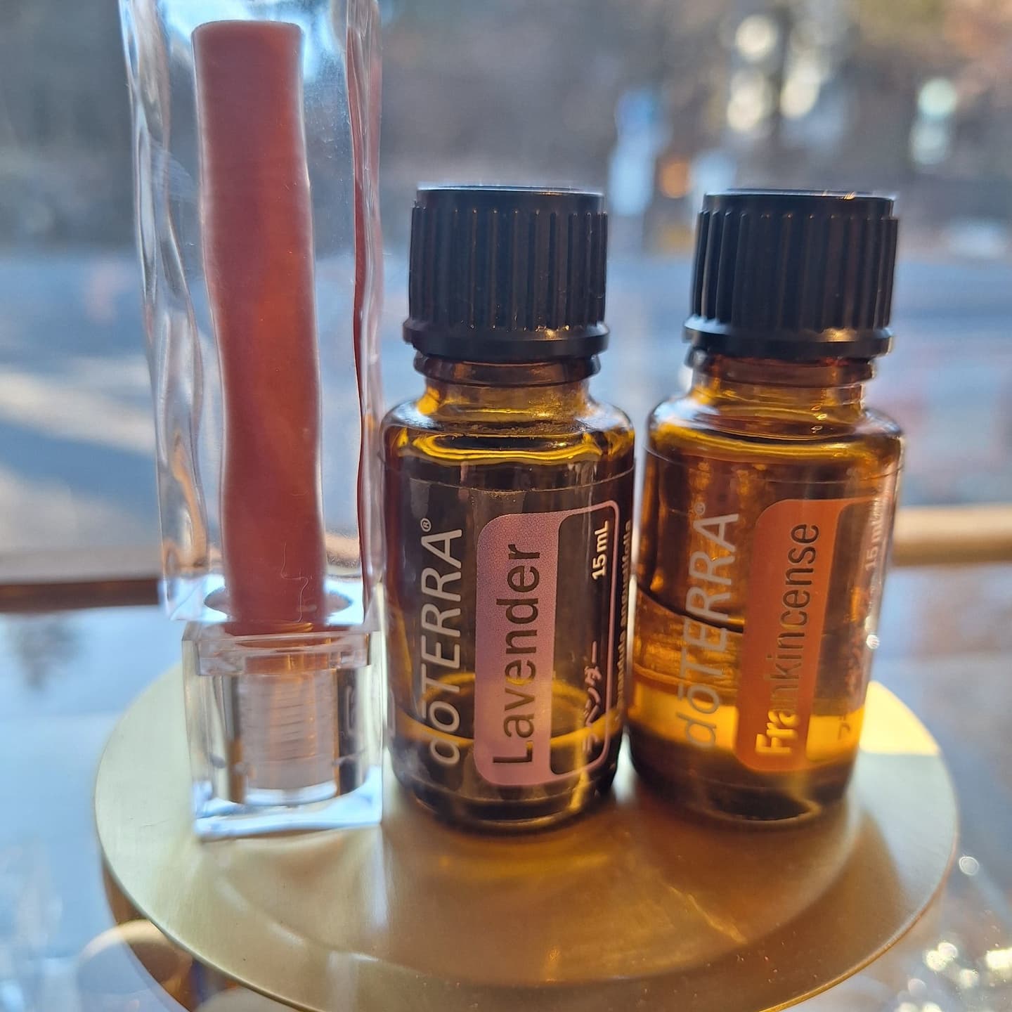 軽井沢　こども